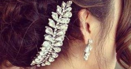 বাগান বিলাস - অরণী চাকমা অরু