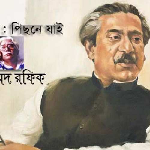 স্মৃতিকথা : পিছনে যাই ।। মোহাম্মদ রফিক