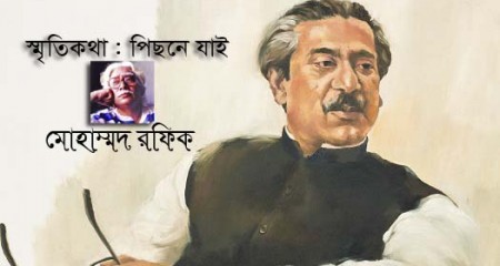 স্মৃতিকথা : পিছনে যাই ।। মোহাম্মদ রফিক