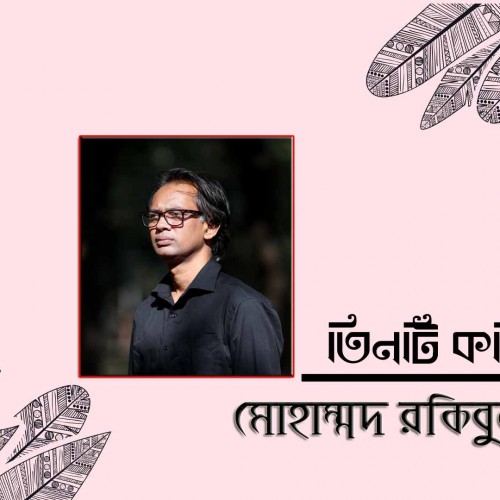 তিনটি কবিতা । মোহাম্মদ রকিবুল হাসান