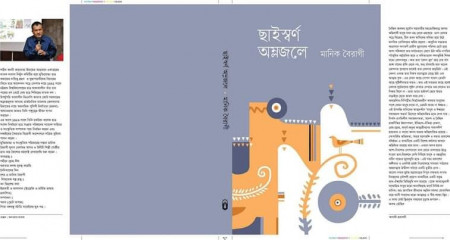 ছাইস্বর্ণ অম্লজলে : যুগযন্ত্রণার দর্পন - অমিত চৌধুরী
