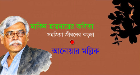 মাকিদ হায়দারের কবিতাঃ সহজিয়া জীবনের কড়চা । আনোয়ার মল্লিক